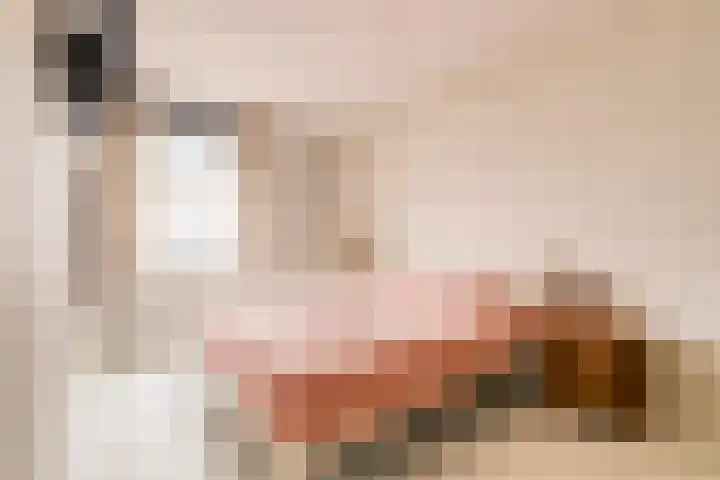 Zoete Kroon 26 Fijnaart thumbnail 4