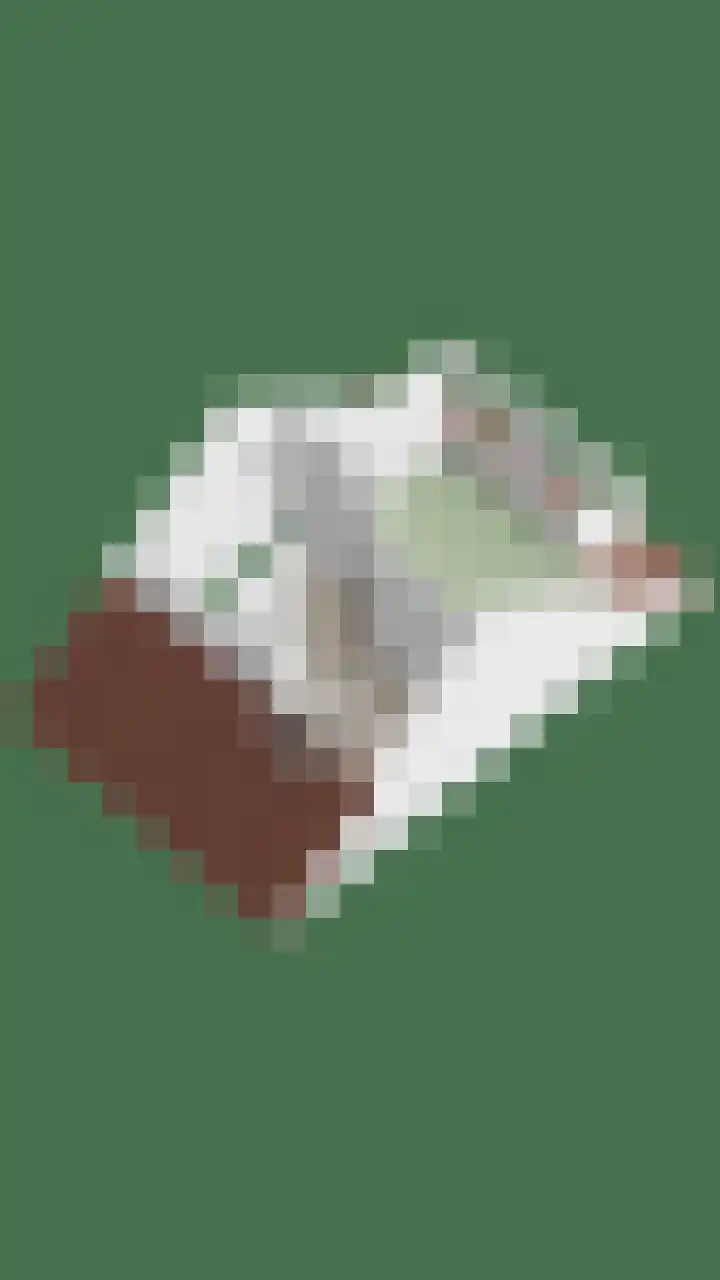 Zoete Kroon 26 Fijnaart thumbnail 43
