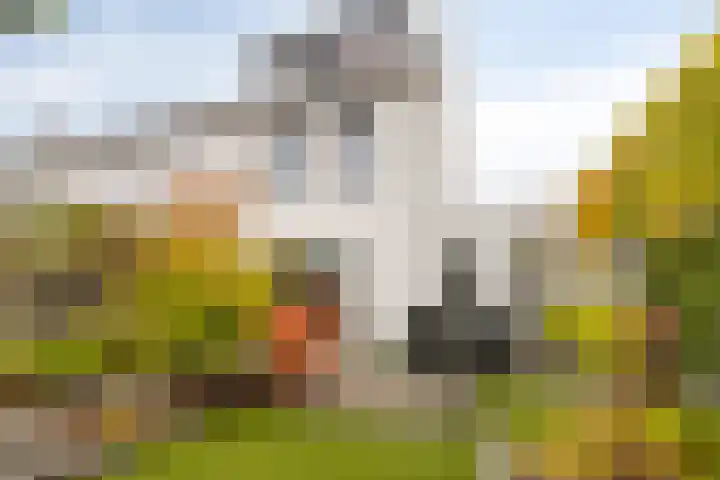 Zoete Kroon 26 Fijnaart thumbnail 6