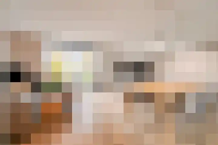 Zoete Kroon 26 Fijnaart thumbnail 9