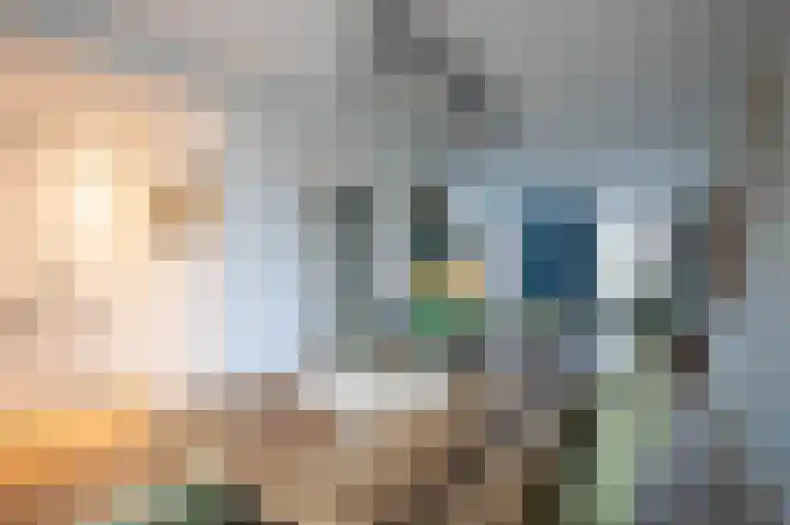 Zoete Kroon 27 Geldermalsen thumbnail 14