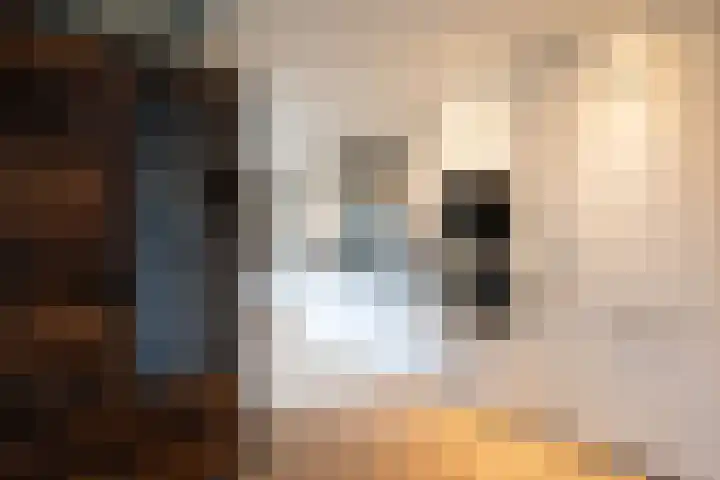 Zoete Kroon 27 Geldermalsen thumbnail 15