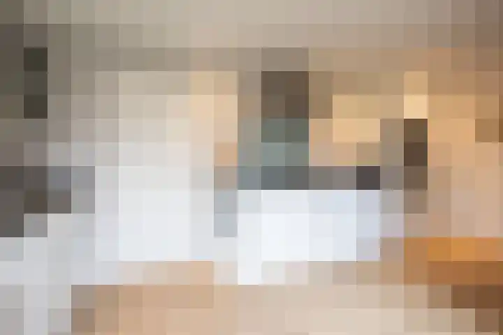 Zoete Kroon 27 Geldermalsen thumbnail 16