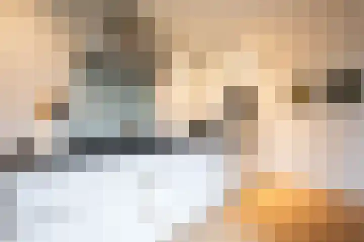 Zoete Kroon 27 Geldermalsen thumbnail 18