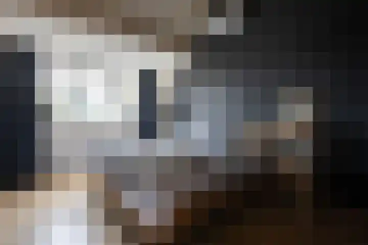 Zoete Kroon 27 Geldermalsen thumbnail 20