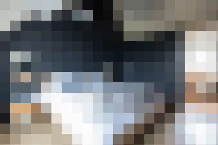 Zoete Kroon 27 Geldermalsen thumbnail 21