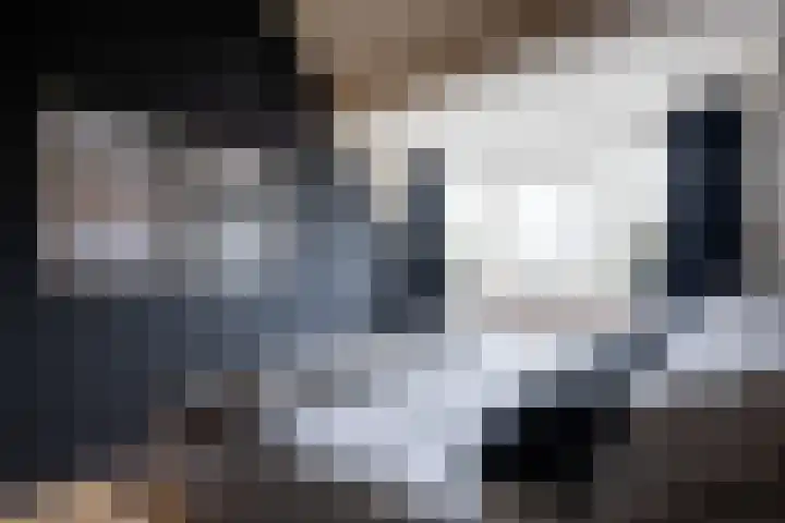 Zoete Kroon 27 Geldermalsen thumbnail 22
