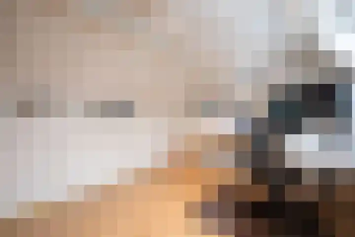 Zoete Kroon 27 Geldermalsen thumbnail 33