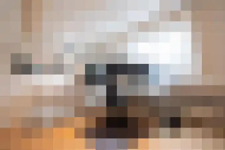 Zoete Kroon 27 Geldermalsen thumbnail 34