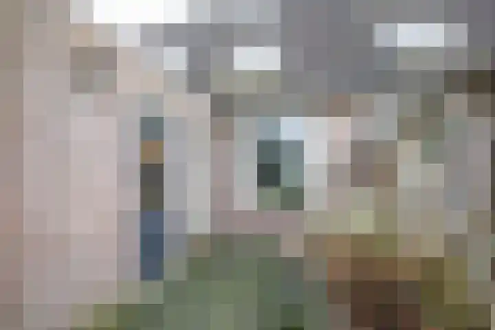 Zoete Kroon 27 Geldermalsen thumbnail 37