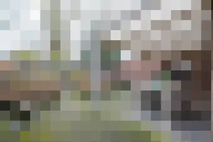 Zoete Kroon 27 Geldermalsen thumbnail 38