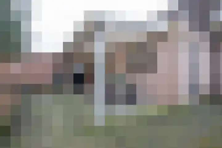 Zoete Kroon 27 Geldermalsen thumbnail 39