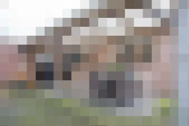 Zoete Kroon 27 Geldermalsen thumbnail 40