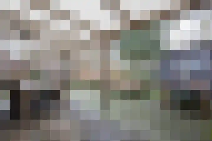 Zoete Kroon 27 Geldermalsen thumbnail 41