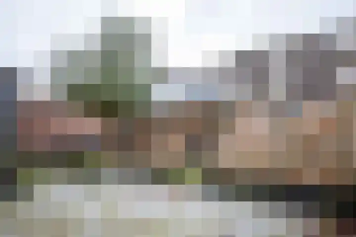 Zoete Kroon 27 Geldermalsen thumbnail 42