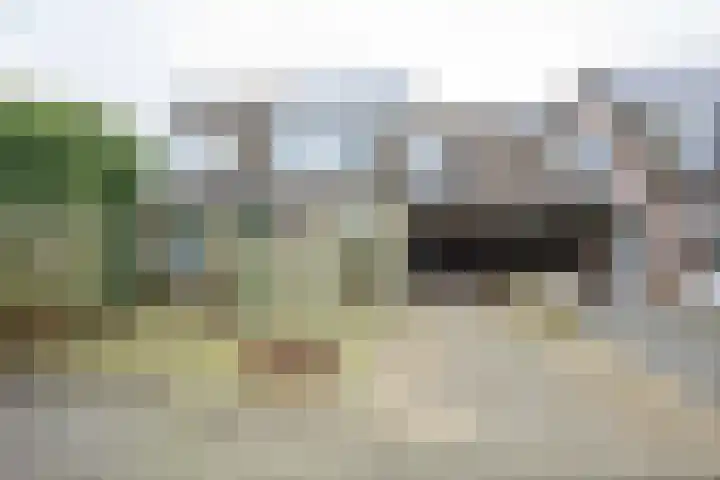 Zoete Kroon 27 Geldermalsen thumbnail 44