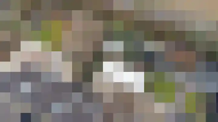 Zoete Kroon 27 Geldermalsen thumbnail 45