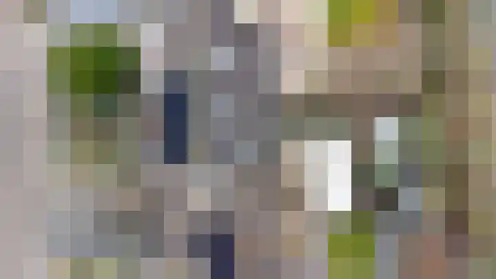Zoete Kroon 27 Geldermalsen thumbnail 46