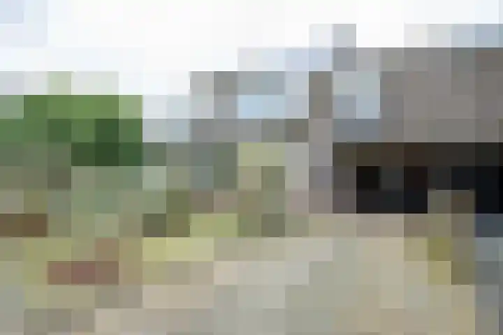 Zoete Kroon 27 Geldermalsen thumbnail 47