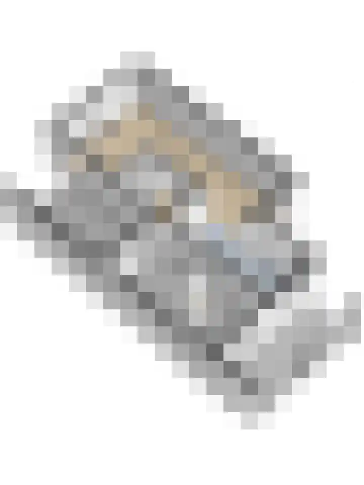 Zoete Kroon 27 Geldermalsen thumbnail 53