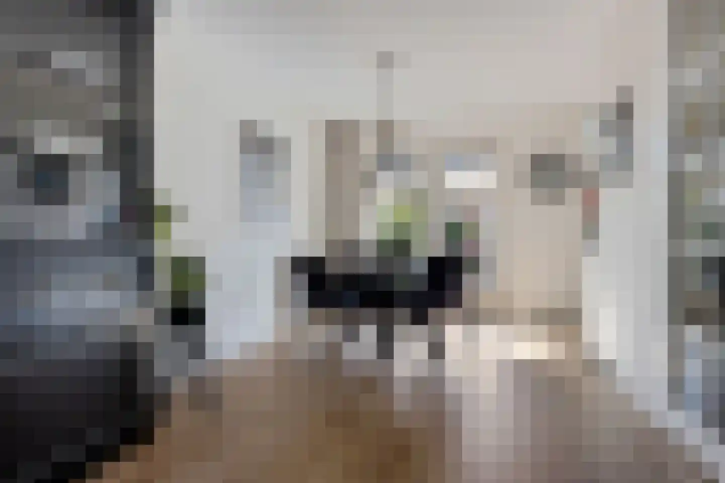Zoete Kroon 3 Hoogezand thumbnail 12