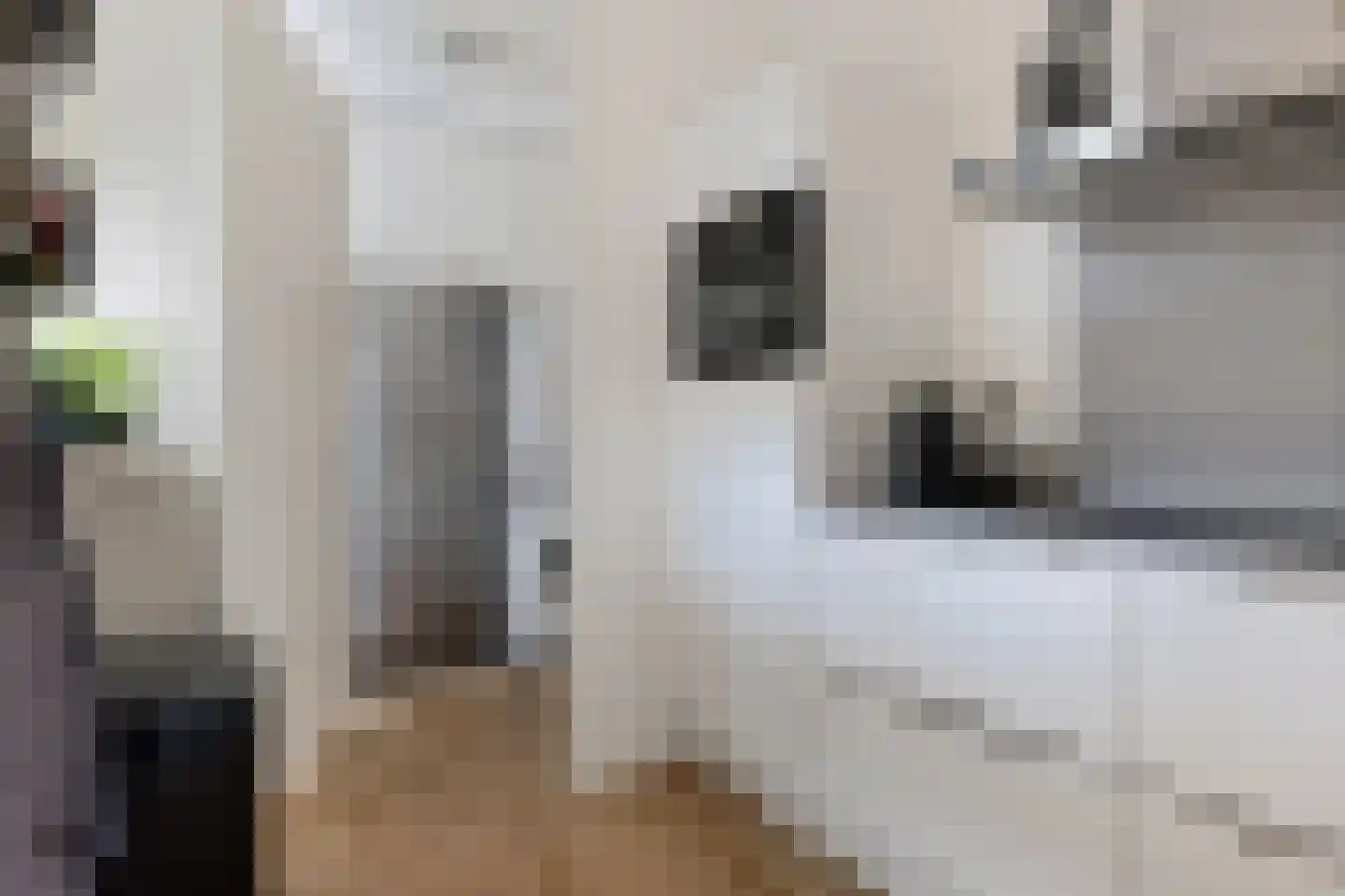 Zoete Kroon 3 Hoogezand thumbnail 16