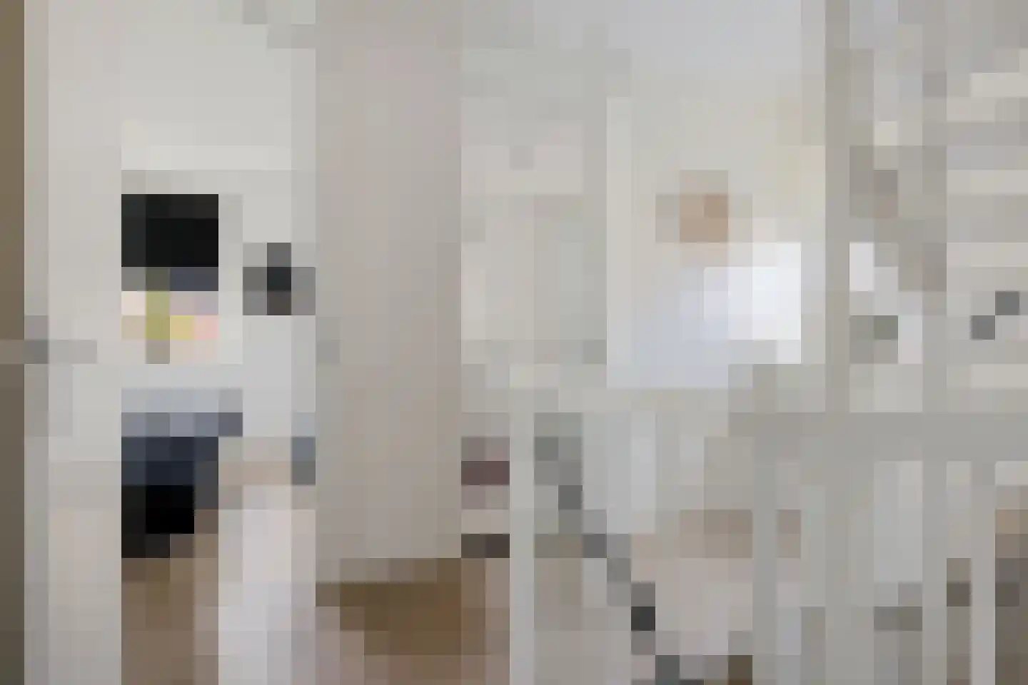 Zoete Kroon 3 Hoogezand thumbnail 20