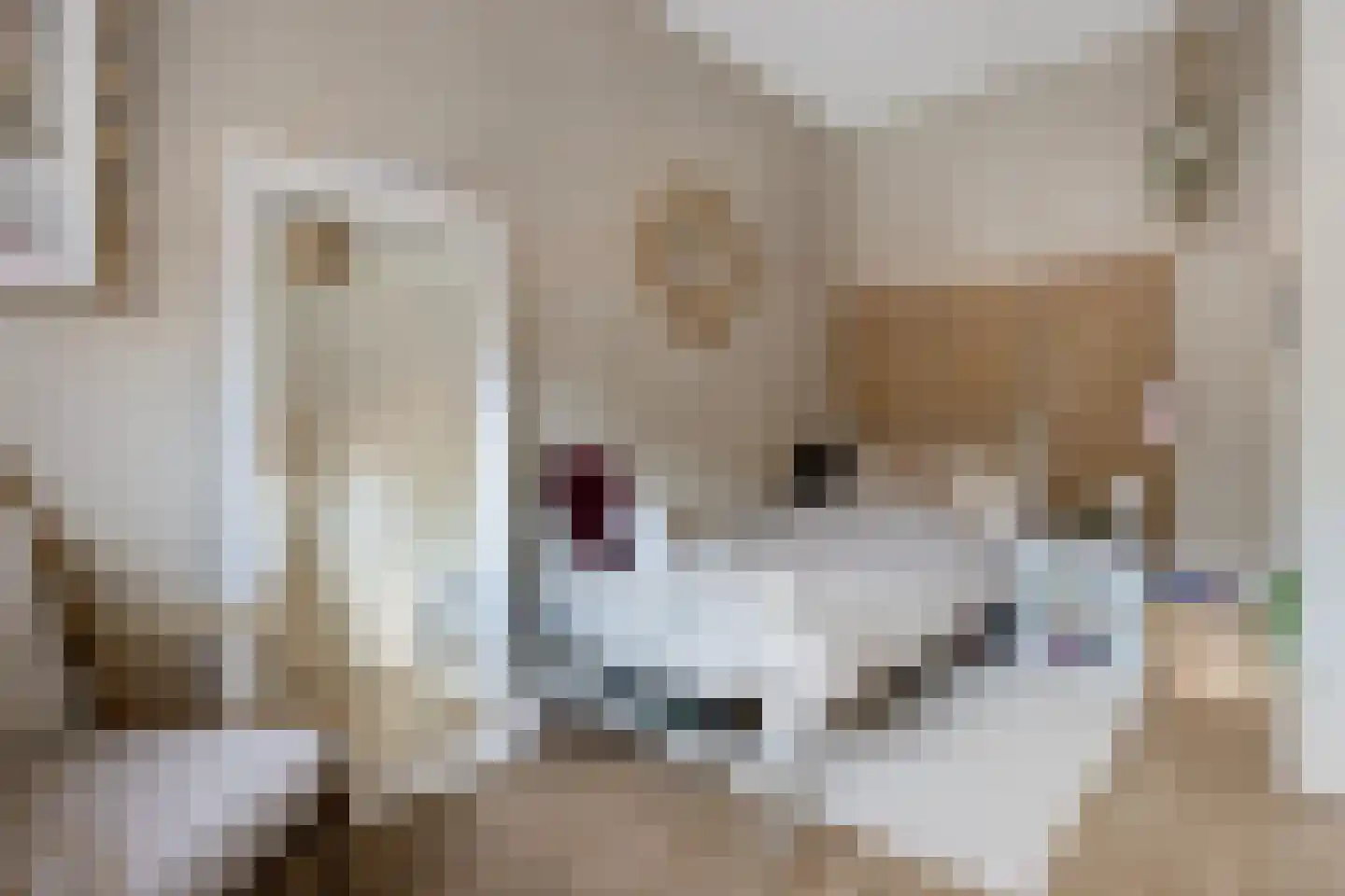 Zoete Kroon 3 Hoogezand thumbnail 24