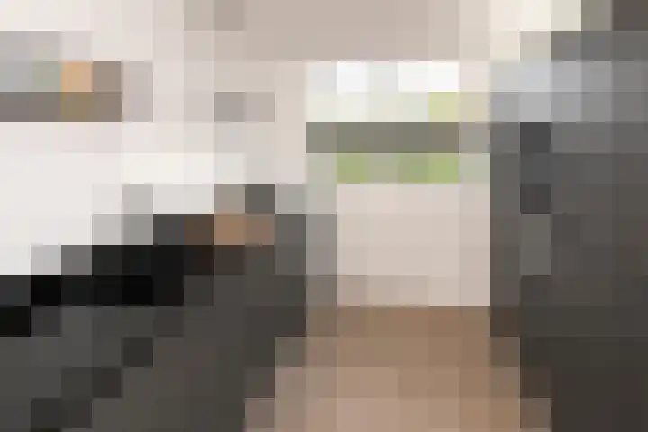 Zoete Kroon 36 Duiven thumbnail 11
