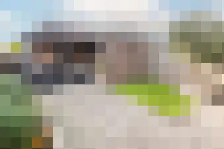 Zoete Kroon 36 Duiven thumbnail 15