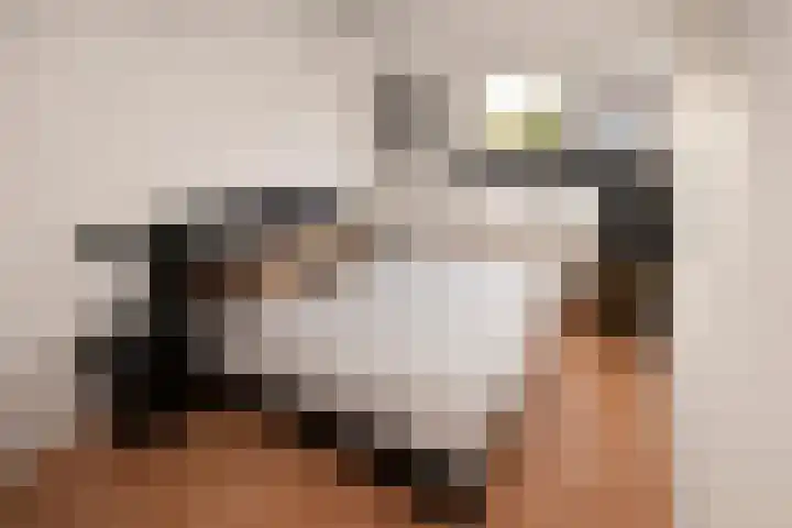 Zoete Kroon 36 Duiven thumbnail 17