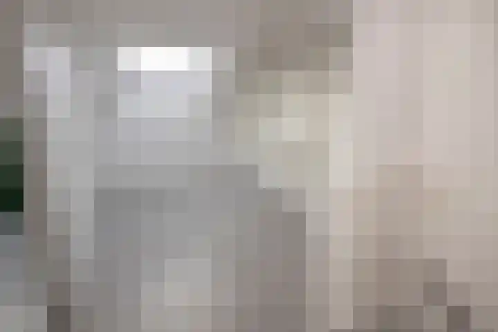 Zoete Kroon 36 Duiven thumbnail 30