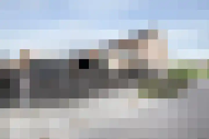 Zoete Kroon 36 Duiven thumbnail 31
