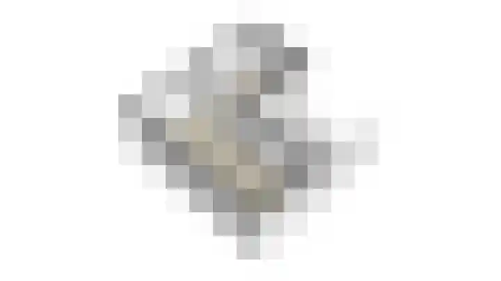 Zoete Kroon 36 Duiven thumbnail 46