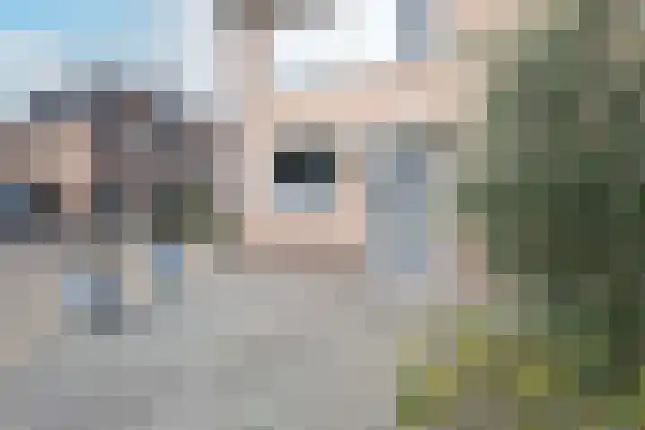 Zoete Kroon 36 Duiven thumbnail 6