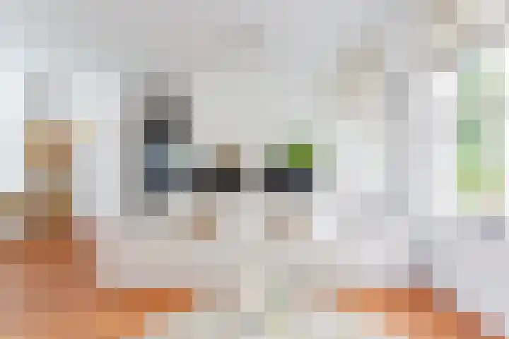 Zoete Veenstraat 12 Aalsmeer thumbnail 10