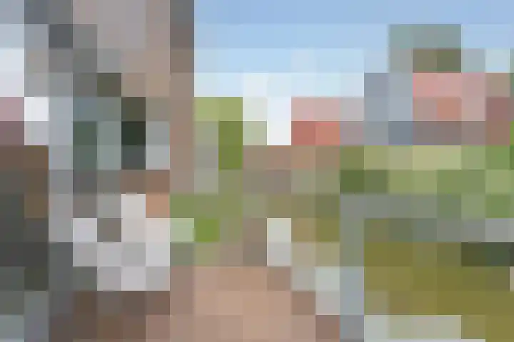 Zoete Veenstraat 12 Aalsmeer thumbnail 18