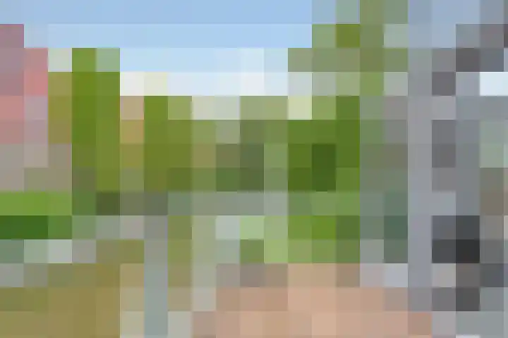 Zoete Veenstraat 12 Aalsmeer thumbnail 19