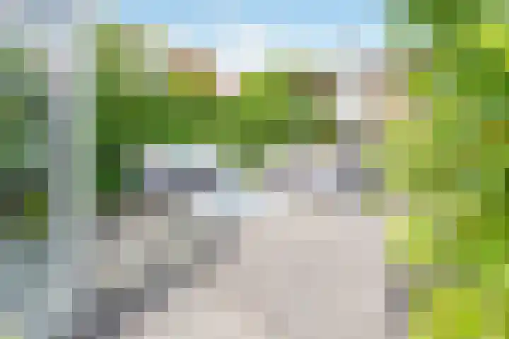 Zoete Veenstraat 12 Aalsmeer thumbnail 24