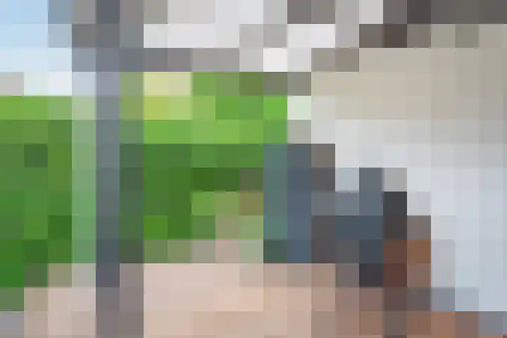 Zoete Veenstraat 12 Aalsmeer thumbnail 26