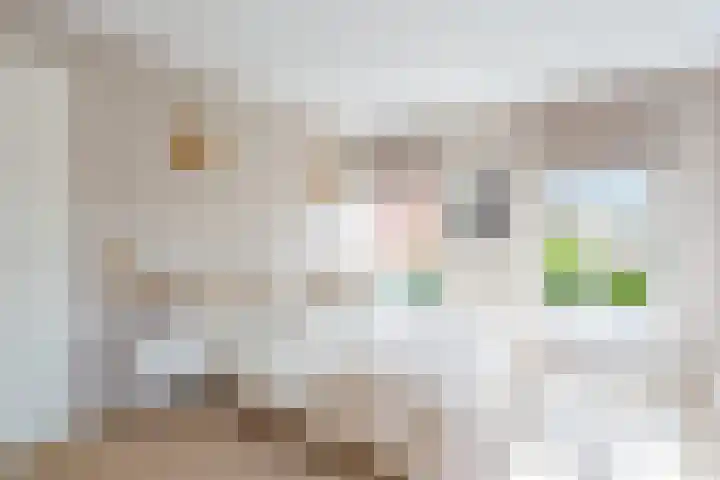 Zoete Veenstraat 12 Aalsmeer thumbnail 37