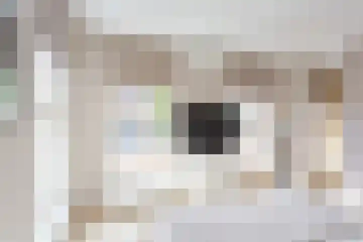 Zoete Veenstraat 12 Aalsmeer thumbnail 38