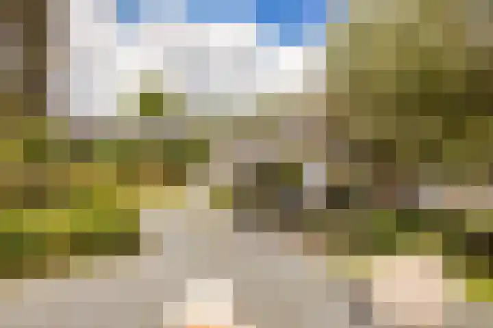 Zoete viburnumstraat 10 Utrecht thumbnail 38