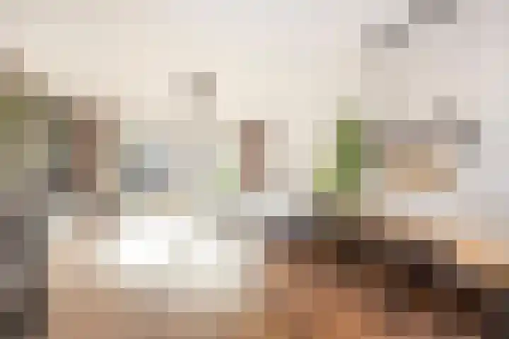 Zoete viburnumstraat 10 Utrecht thumbnail 5