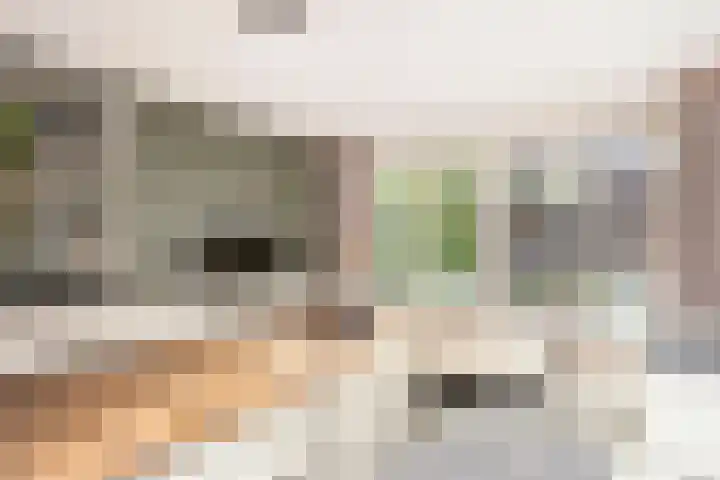 Zoete viburnumstraat 10 Utrecht thumbnail 7