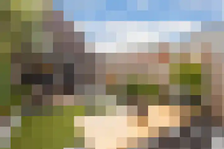 Zoete viburnumstraat 10 Utrecht thumbnail 8