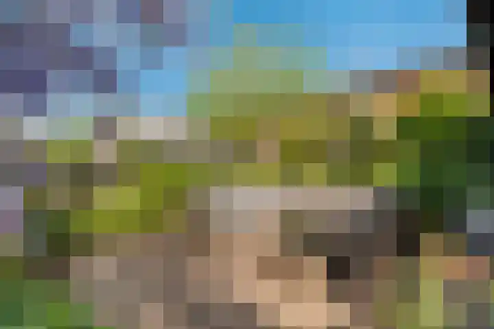 Zoetegaarde 36 Amersfoort thumbnail 14