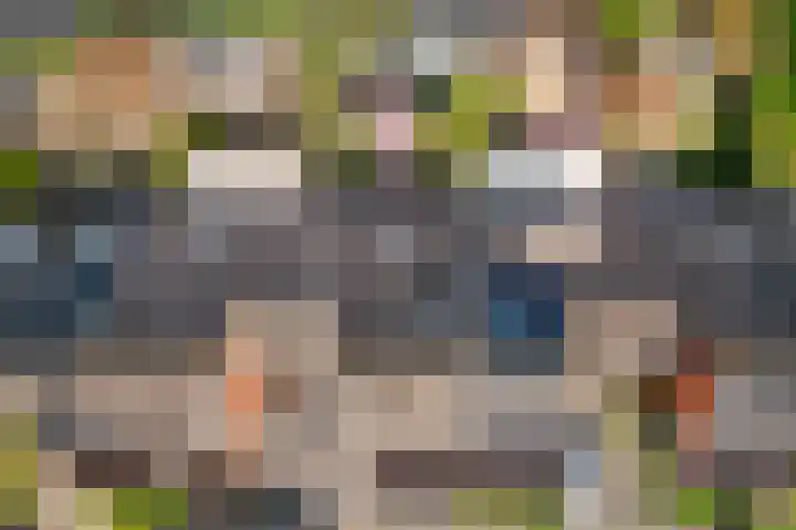 Zoetegaarde 36 Amersfoort thumbnail 31