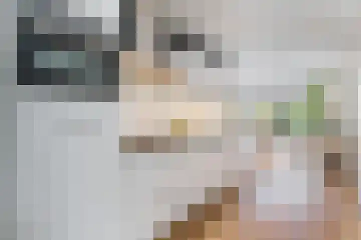 Zoetegaarde 36 Amersfoort thumbnail 7