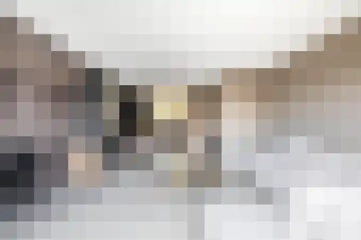 Zoetemanring 1 a Zuidland thumbnail 12